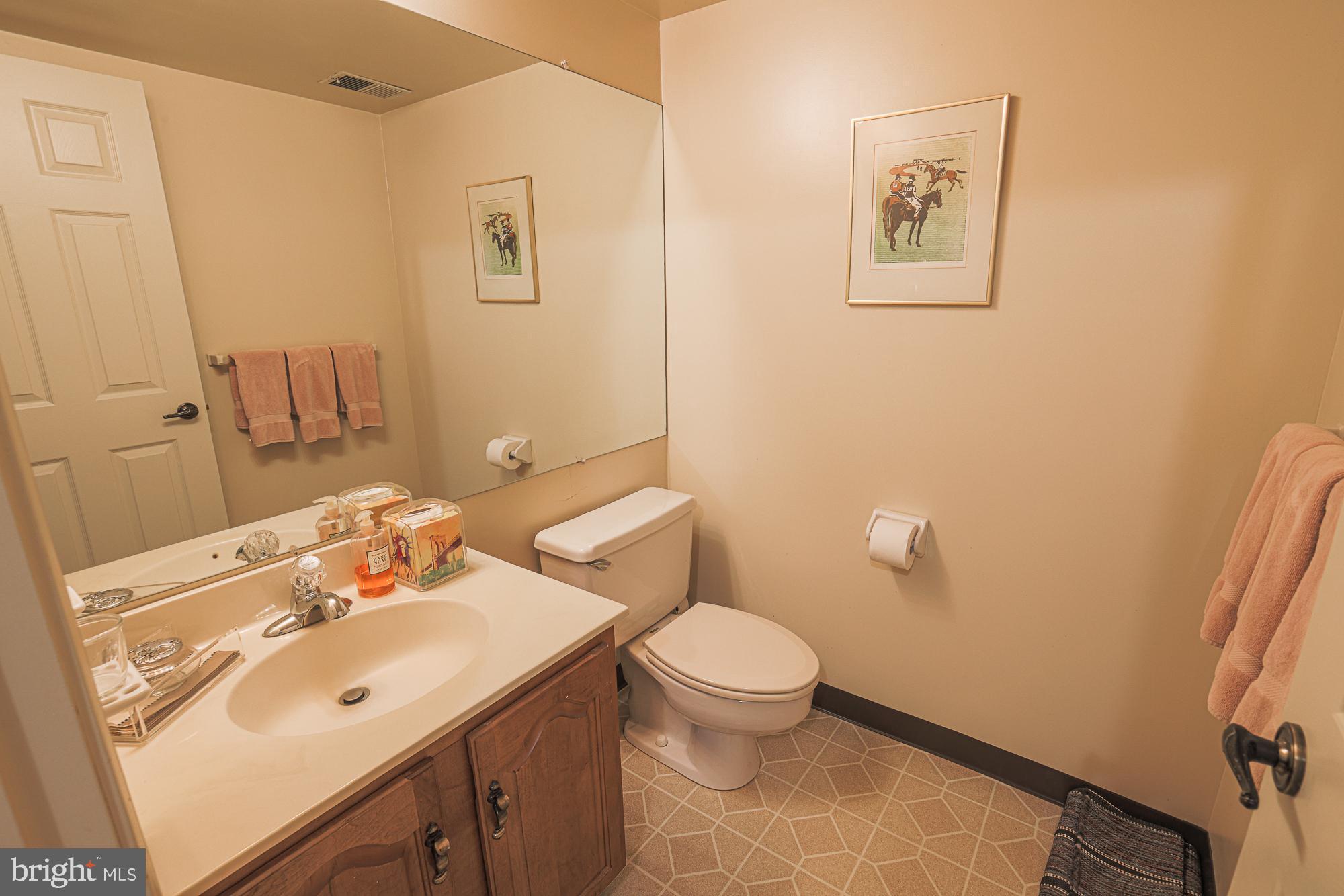 260 Hunters Ridge Road Lutherville-Timonium, MD 21093 - Photo 41 of 48 a bathroom with a sink mirror and toilet