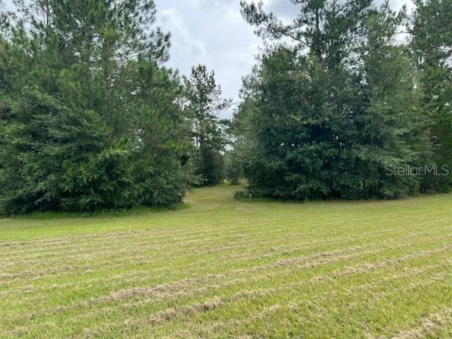 12482 161st Road Live Oak, FL 32060 - Photo 14 of 17