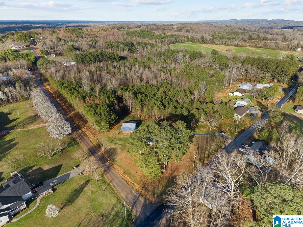 407 Wilson Chapel Road Oneonta, AL 35121 - Photo 37 of 37