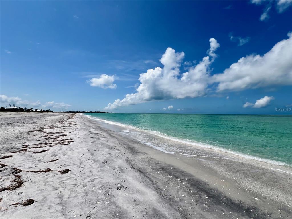 9568 Buccaneer Trail Boca Grande, FL 33921 - Photo 42 of 49 a view of a backyard of a house