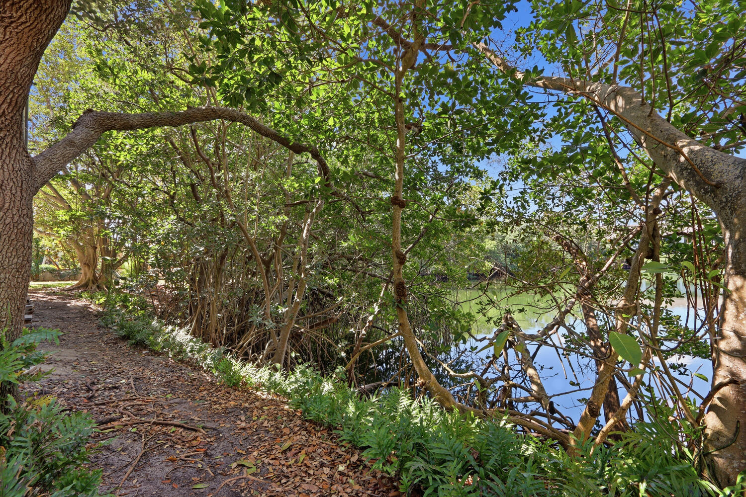 500 Ocean Trail Way, Unit 409 Jupiter, FL 33477 - Photo 30 of 35 Estuary