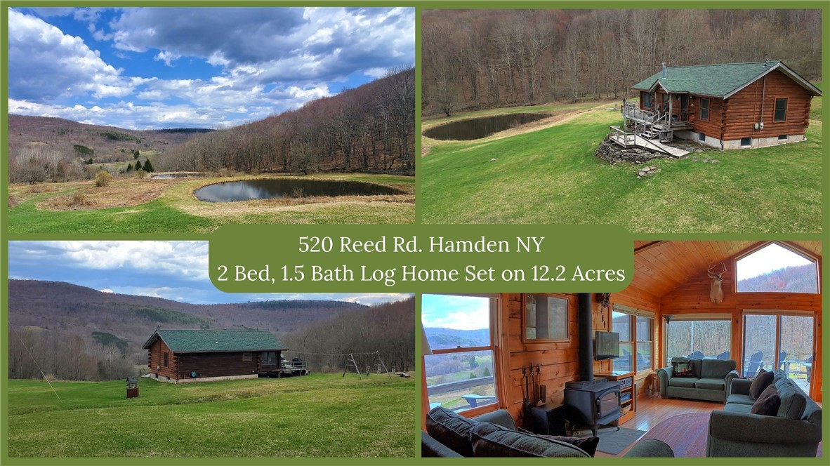 520 Reed Road Hamden, NY 13782 - Photo 1 of 1 Gallery Image 1