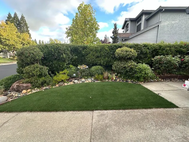 a view of a back yard