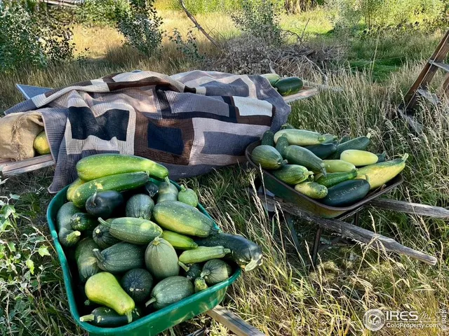 $1,200,000 | 55999 Highway 318, Maybell, CO 81640