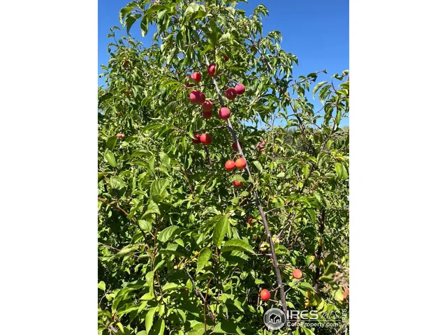 $1,200,000 | 55999 Highway 318, Maybell, CO 81640