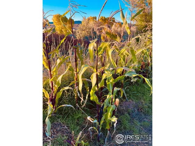 $1,200,000 | 55999 Highway 318, Maybell, CO 81640