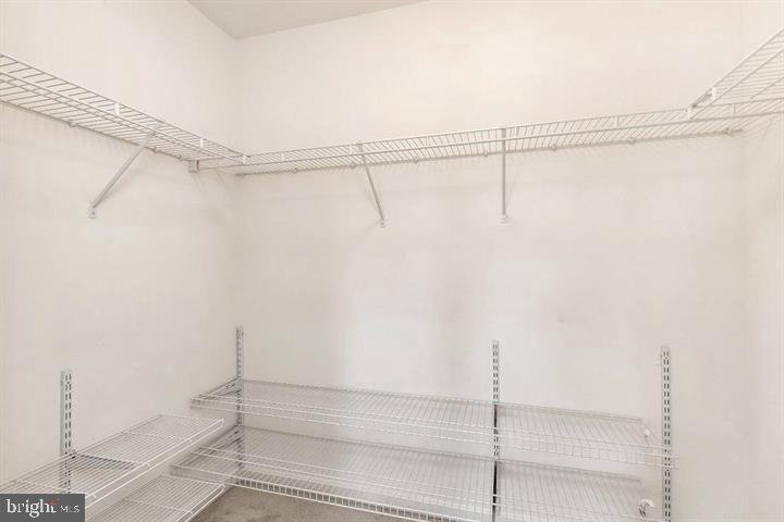 11843 Skylark Road Clarksburg, MD 20871 - Photo 15 of 31 a bathroom with a shower