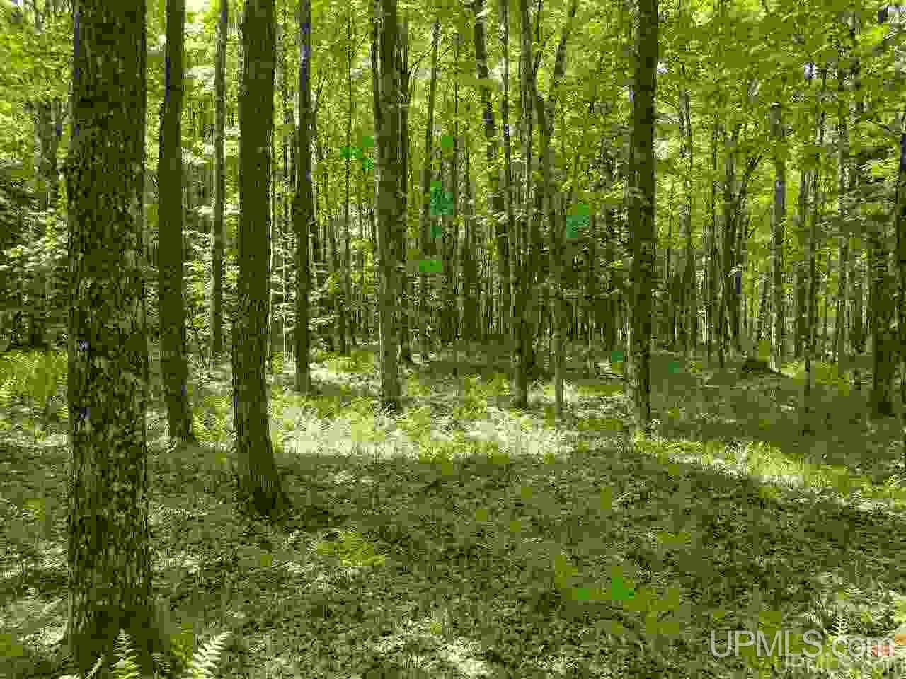 40-ac Parks Farm Road Iron River, MI 49935 - Photo 14 of 20