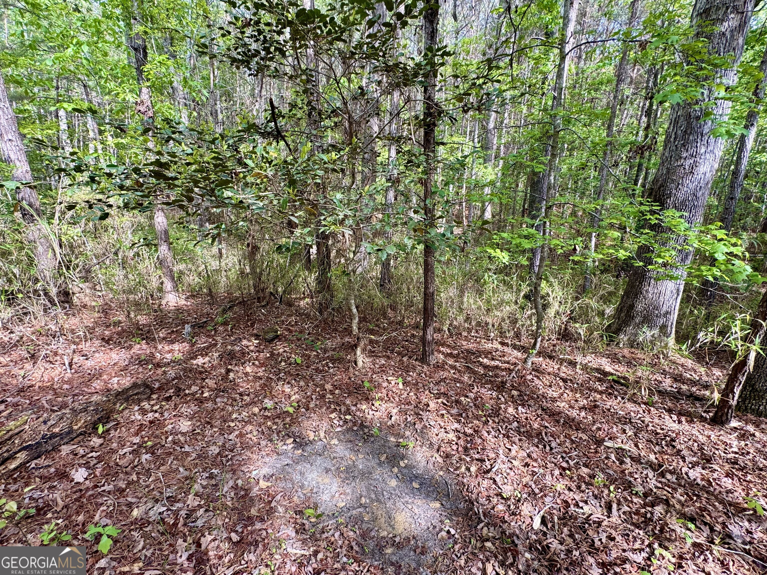 1 Frazier Road Sparta, GA 31087 - Photo 14 of 33 Gallery Image 14