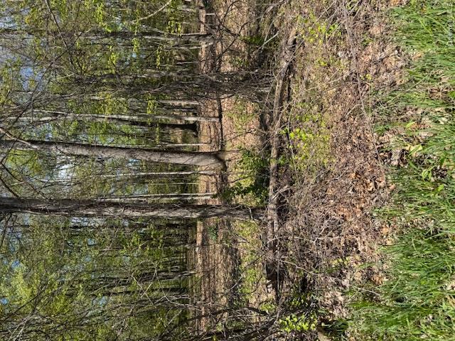 4 Corners Road Warwick, NY 10990 - Photo 2 of 9 a view of a forest with trees