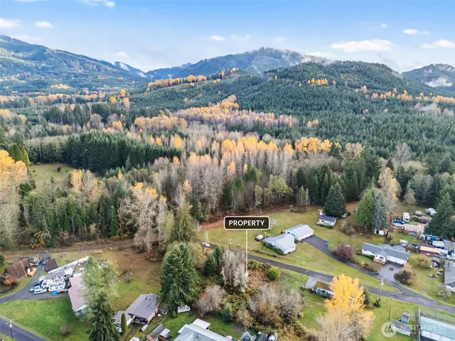 $80,000 | 1 Roosevelt Street, Mineral, WA 98355