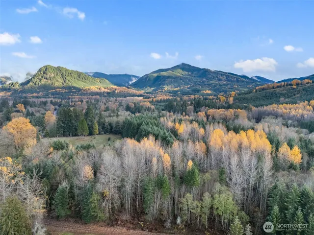 $80,000 | 1 Roosevelt Street, Mineral, WA 98355