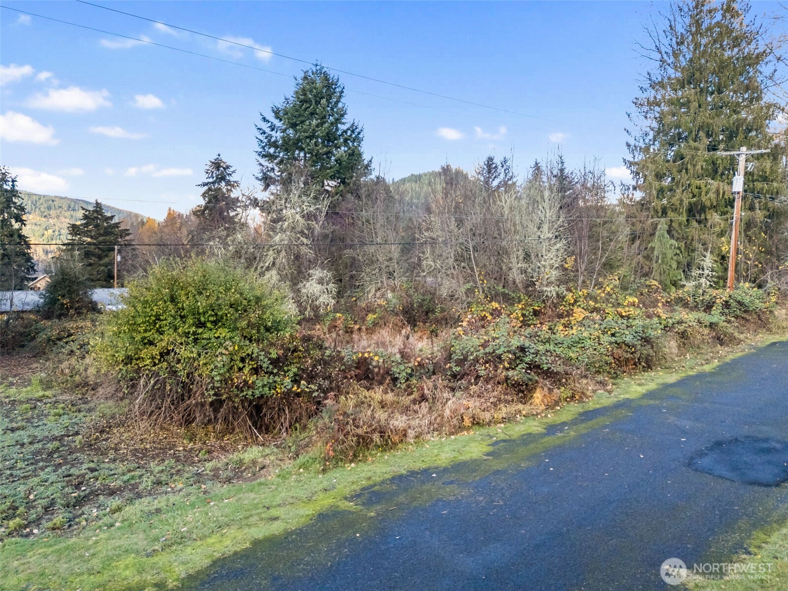1 Roosevelt Street Mineral, WA 98355 - Photo 6 of 15 a view of a yard with a tree