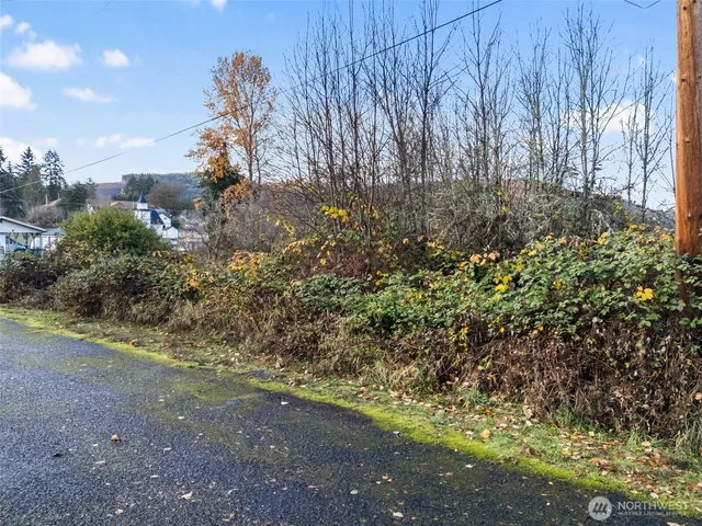 $80,000 | 1 Roosevelt Street, Mineral, WA 98355