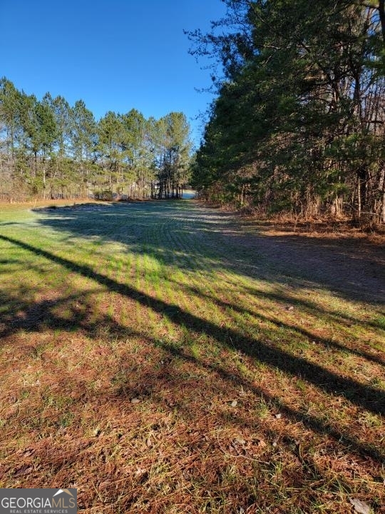 0 Mansfield Road Northeast White, GA 30184 - Photo 22 of 22 a view of an outdoor space and a lake view