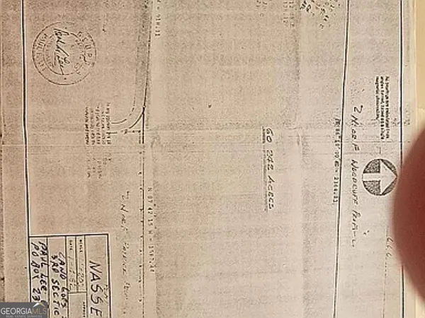 a view of a small yard with potted plants