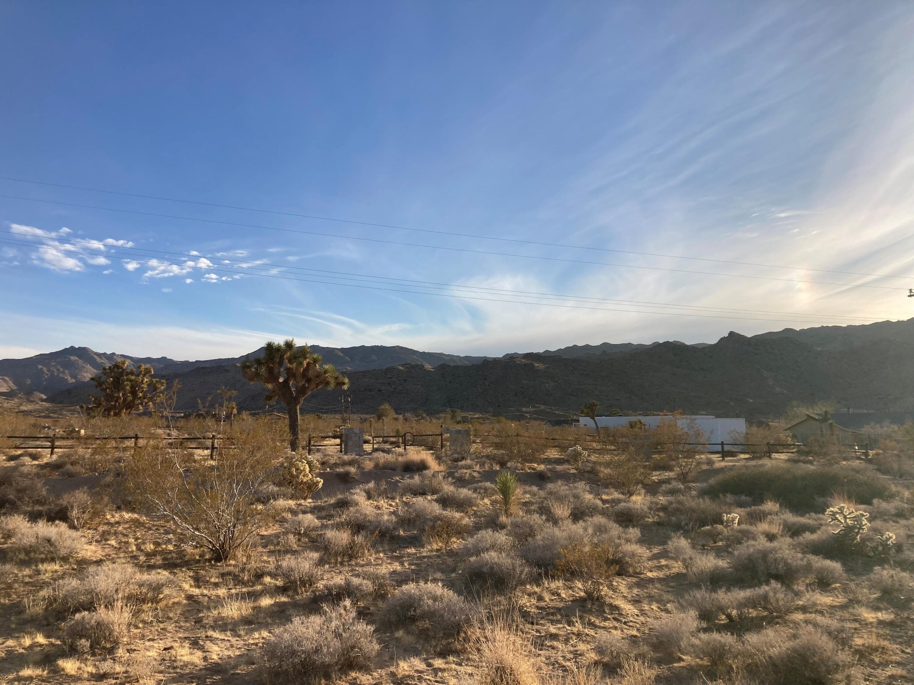 63466 Single Tree Road Joshua Tree, CA 92252 - Photo 45 of 62 3