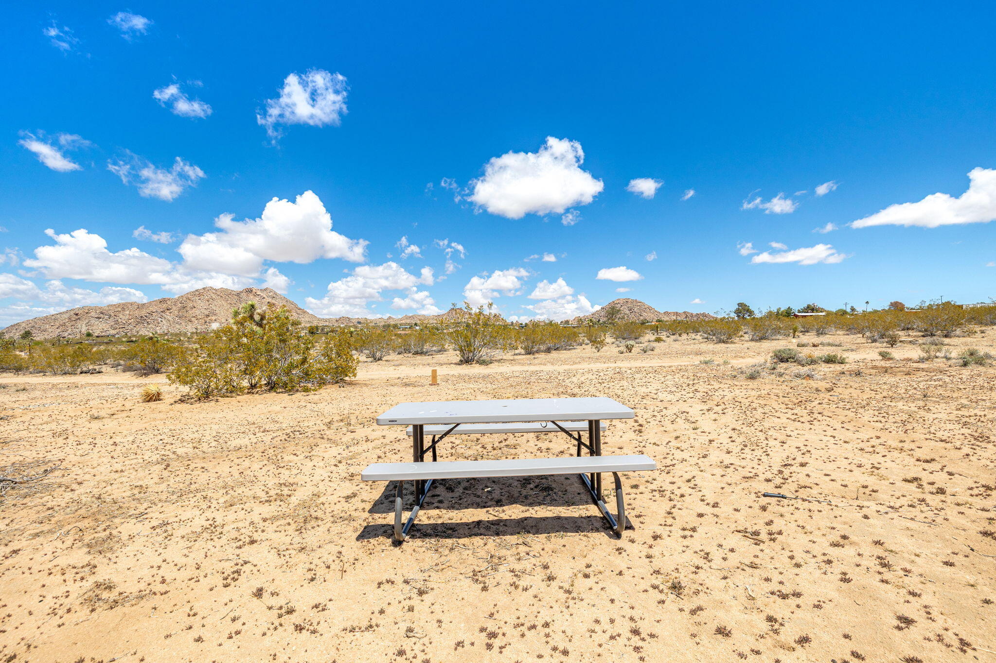 63466 Single Tree Road Joshua Tree, CA 92252 - Photo 51 of 62 46-web-or-mls-8M4A3193