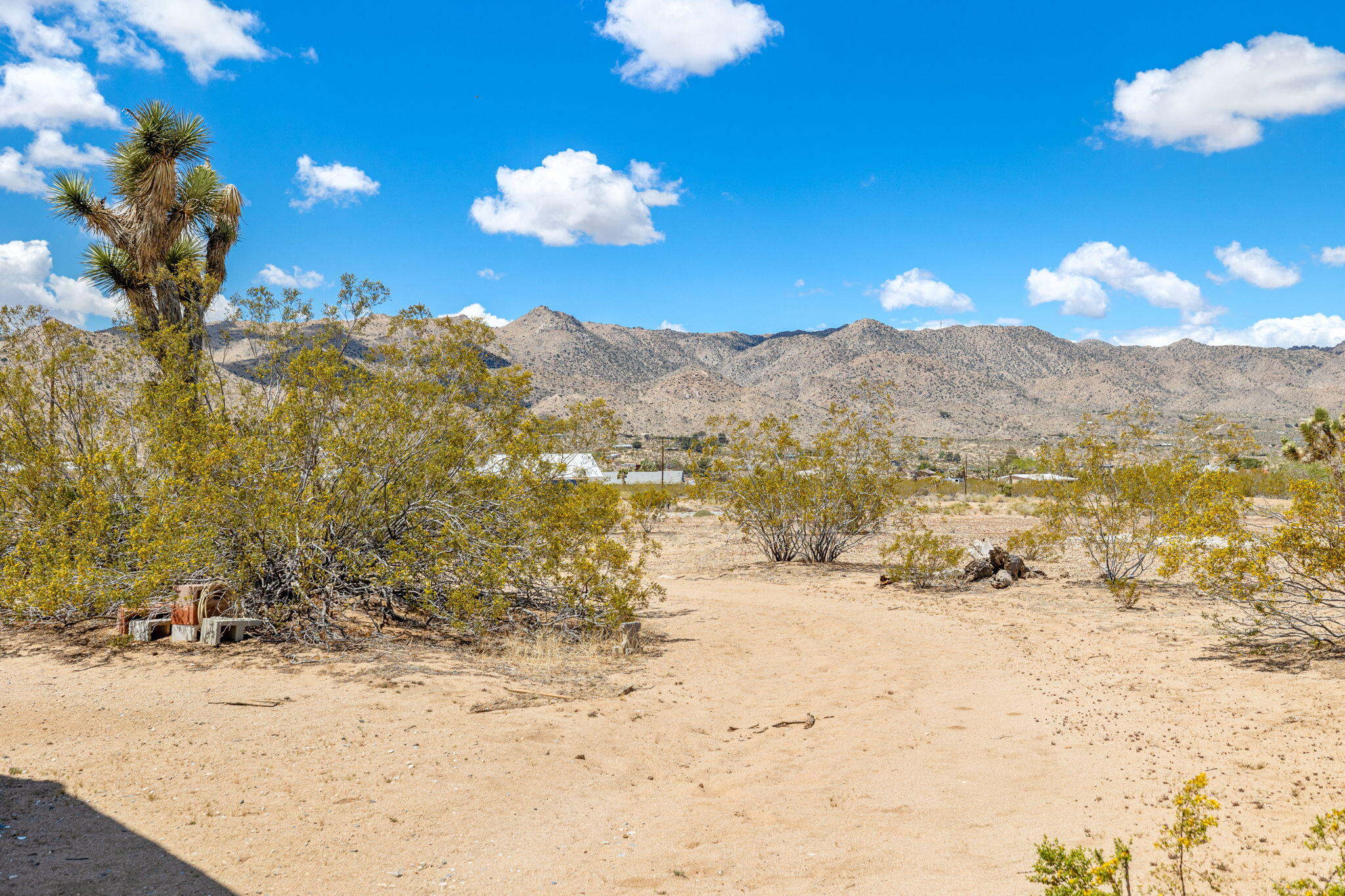 63466 Single Tree Road Joshua Tree, CA 92252 - Photo 53 of 62 48-web-or-mls-8M4A3178