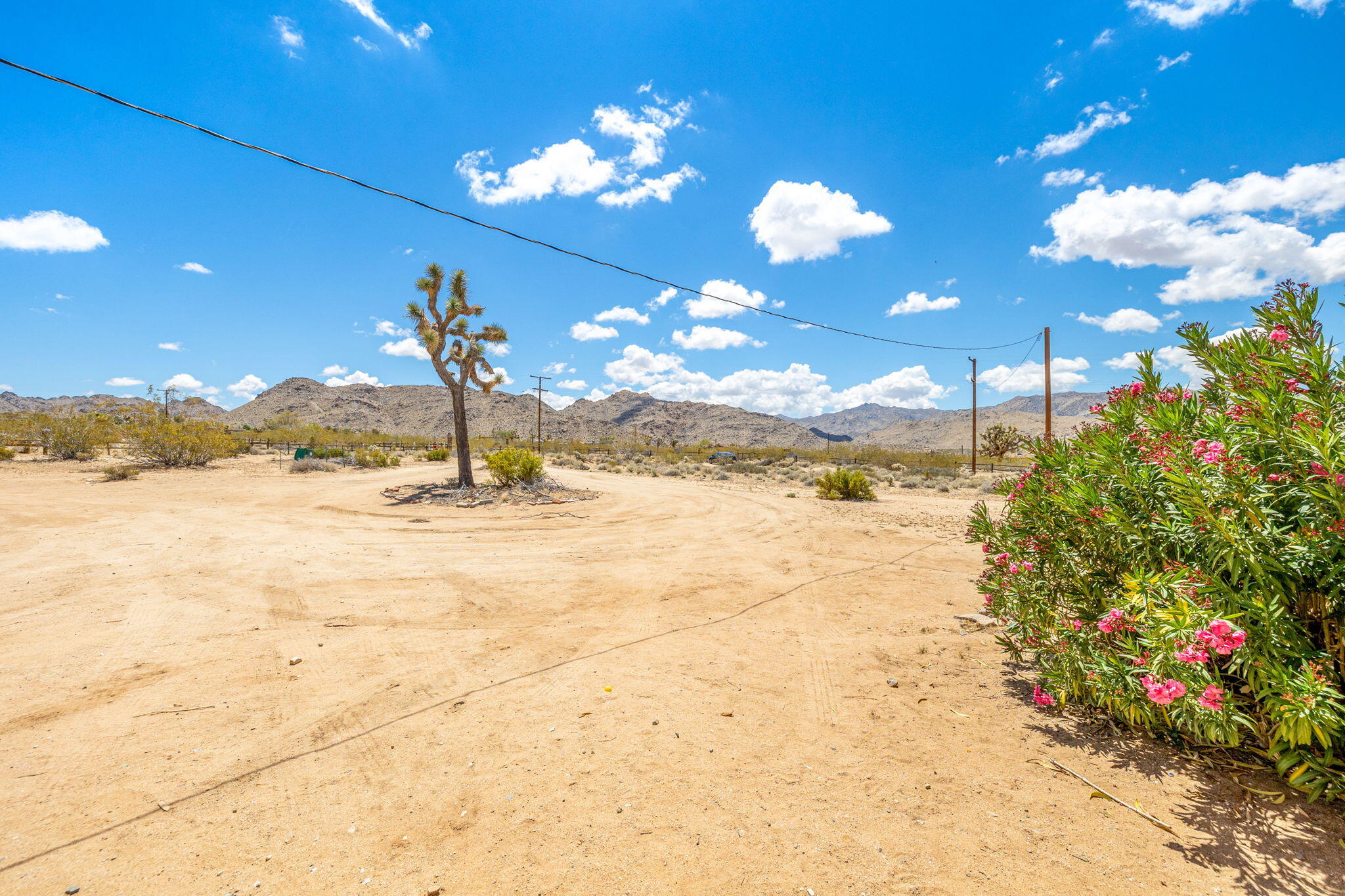 63466 Single Tree Road Joshua Tree, CA 92252 - Photo 56 of 62 51-web-or-mls-8M4A3264