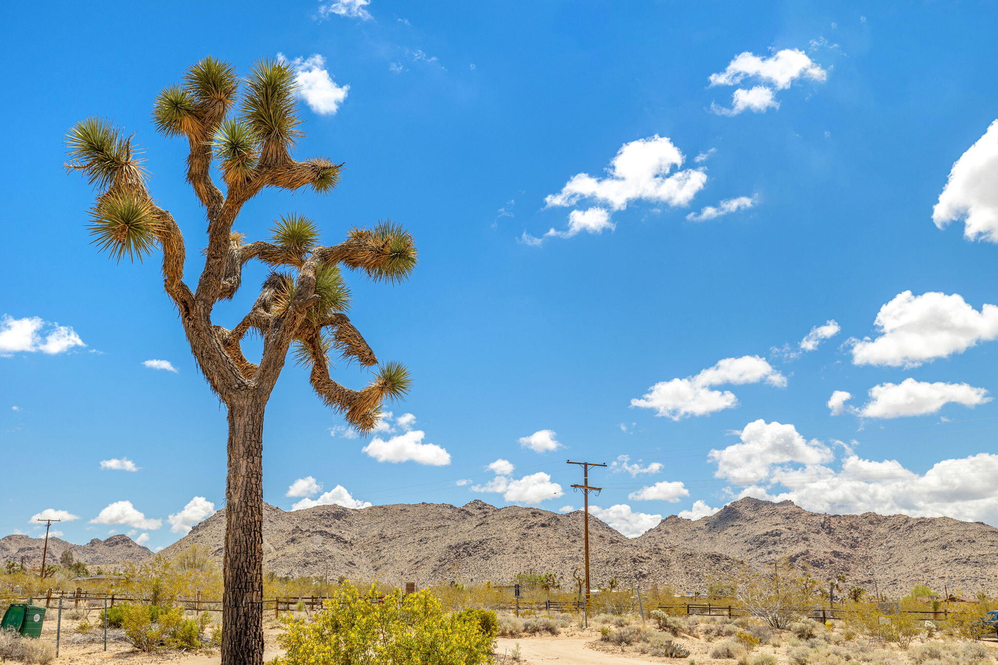 63466 Single Tree Road Joshua Tree, CA 92252 - Photo 59 of 62 54-web-or-mls-8M4A3269