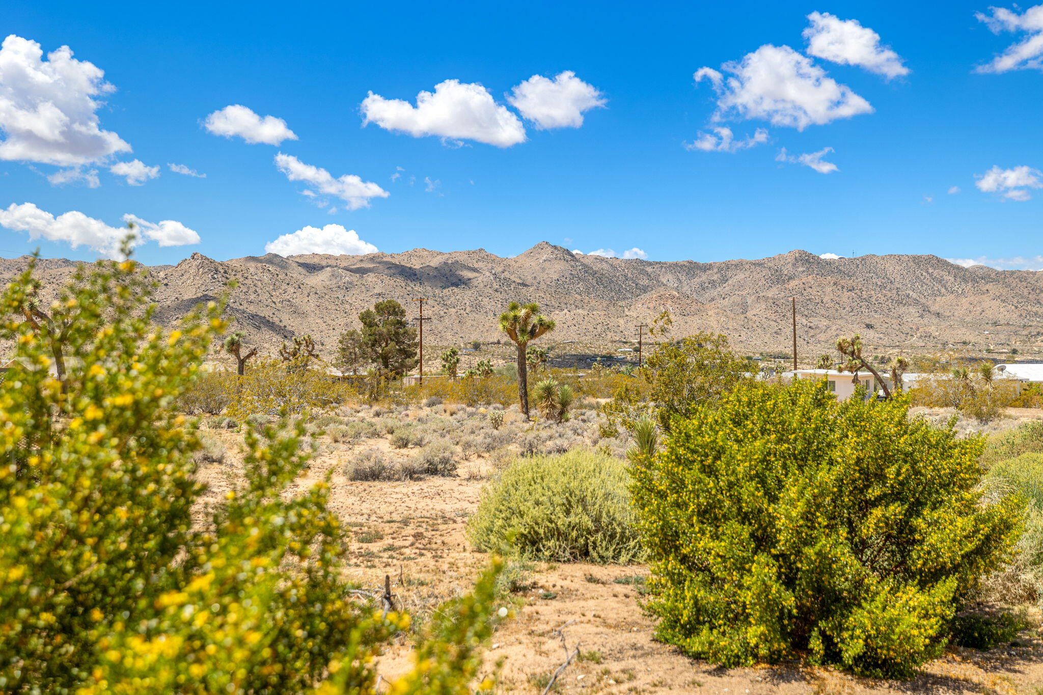 63466 Single Tree Road Joshua Tree, CA 92252 - Photo 62 of 62 57-web-or-mls-8M4A3219