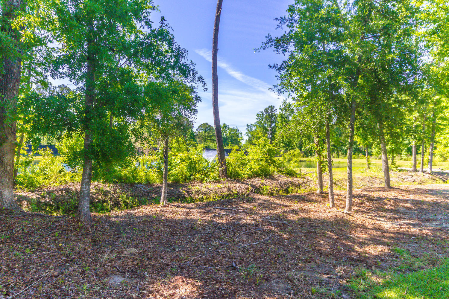 2223 Spring Hope Drive Mount Pleasant, SC 29466 - Photo 39 of 45 2223 Spring Hope Drive Mount-large-036-0