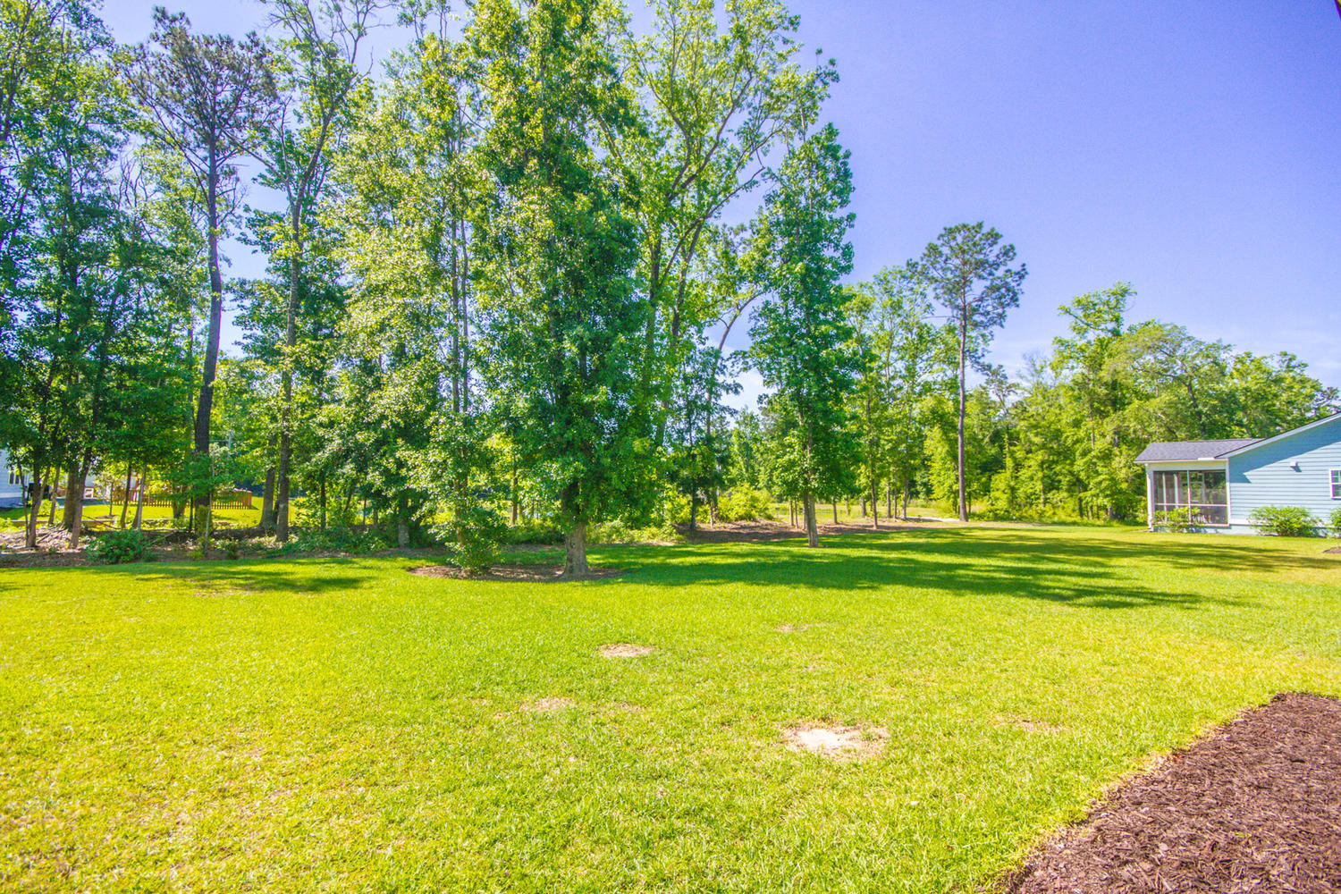 2223 Spring Hope Drive Mount Pleasant, SC 29466 - Photo 40 of 45 2223 Spring Hope Drive Mount-large-037-0