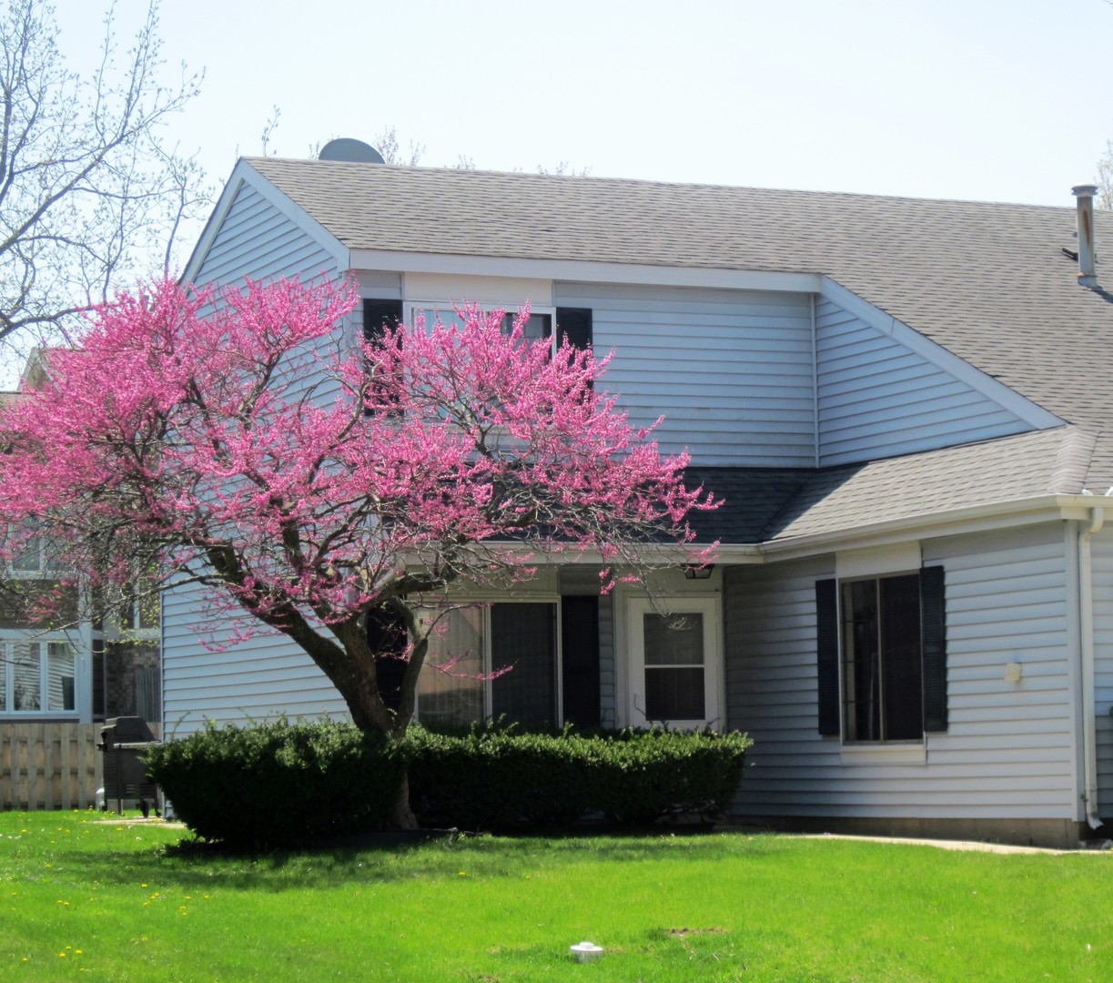 31 Buckingham Lane, Unit 31 Buffalo Grove, IL 60089 - Photo 21 of 21