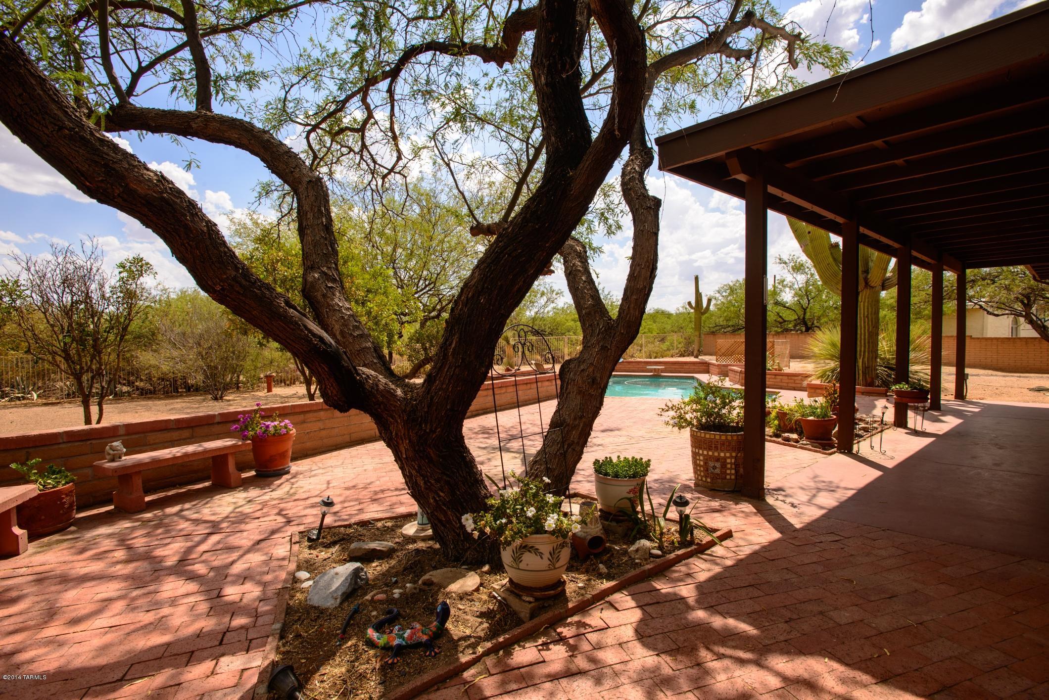 7946 East Coronado Road Tucson, AZ 85750 - Photo 4 of 14