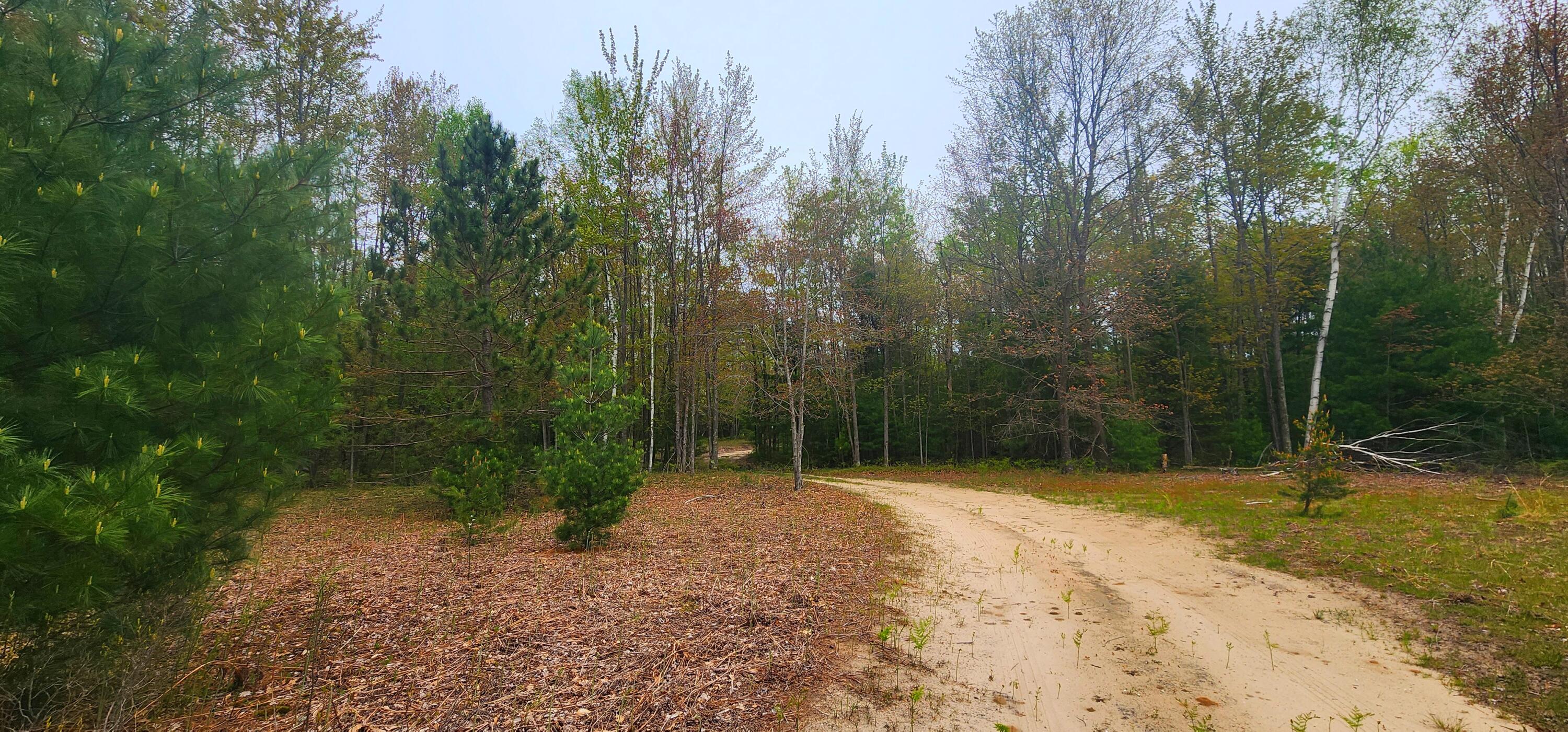 2187 Koenig Road Manistee, MI 49660 - Photo 5 of 20 2187 W Koenig Rd