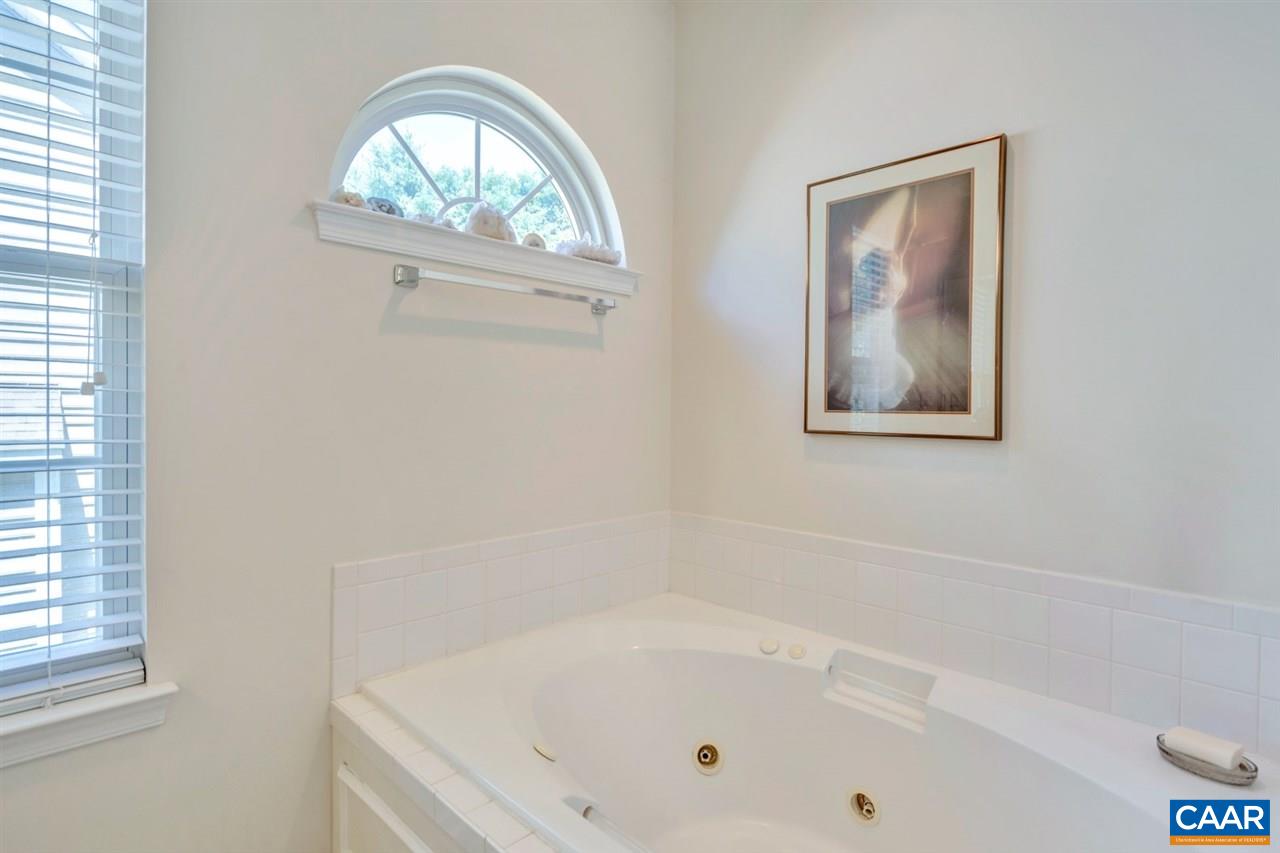 886 Swan Ridge Road Charlottesville, VA 22903 - Photo 15 of 28 Gallery Image 15