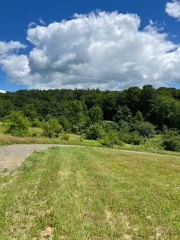 39 Sherman Hill Road Sidney Center, NY 13839 - Photo 5 of 8