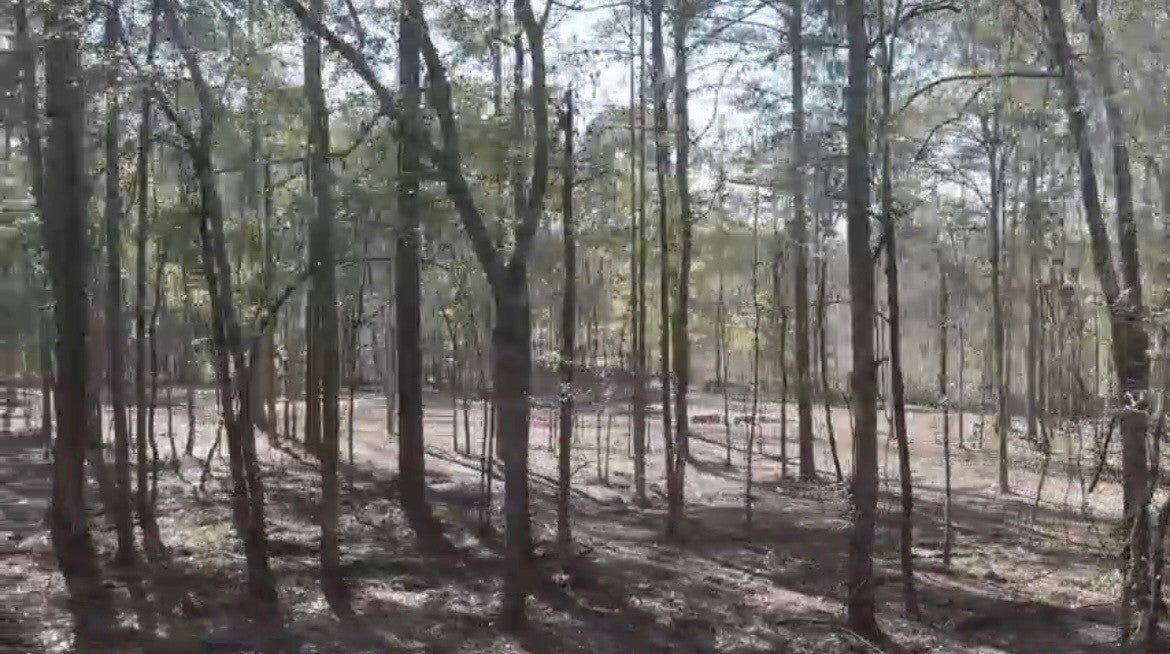 3680 Oak Bowery Road Opelika, AL 36801 - Photo 5 of 7 Gallery Image 5