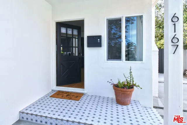 a room with a potted plant and front door