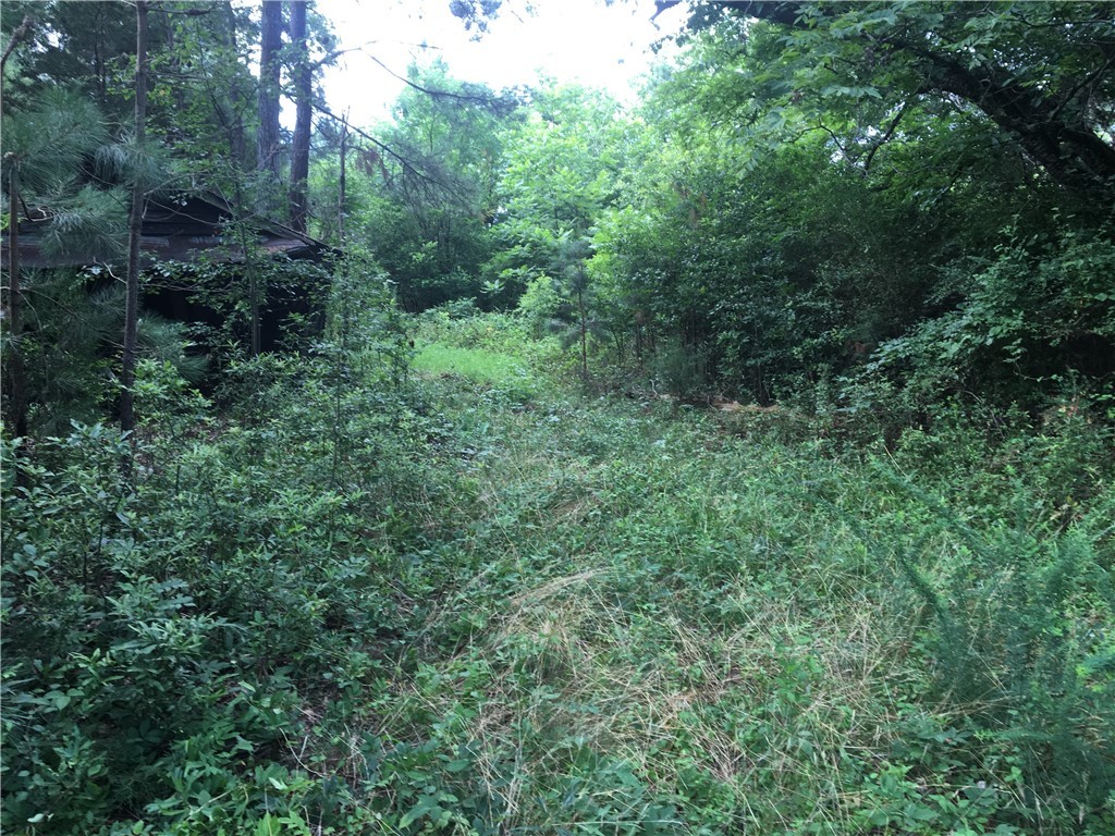 0 Keowee Road Iva, SC 29655 - Photo 7 of 15