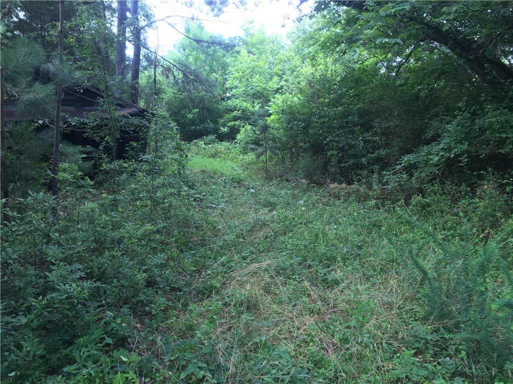 0 Keowee Road Iva, SC 29655 - Photo 8 of 15