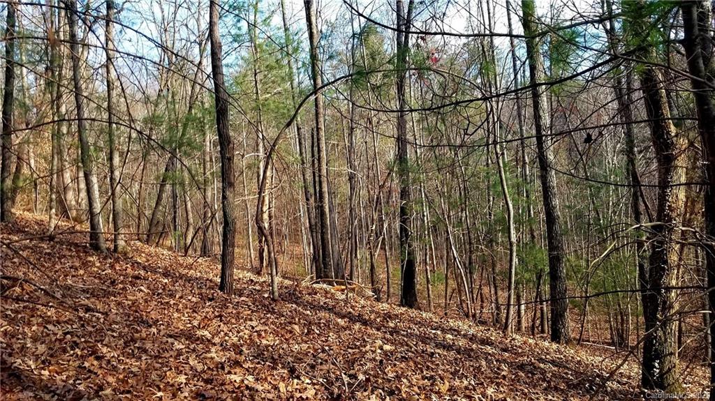 4297 Piney Road, Unit 3 Morganton, NC 28655 - Photo 1 of 11 Gallery Image 1