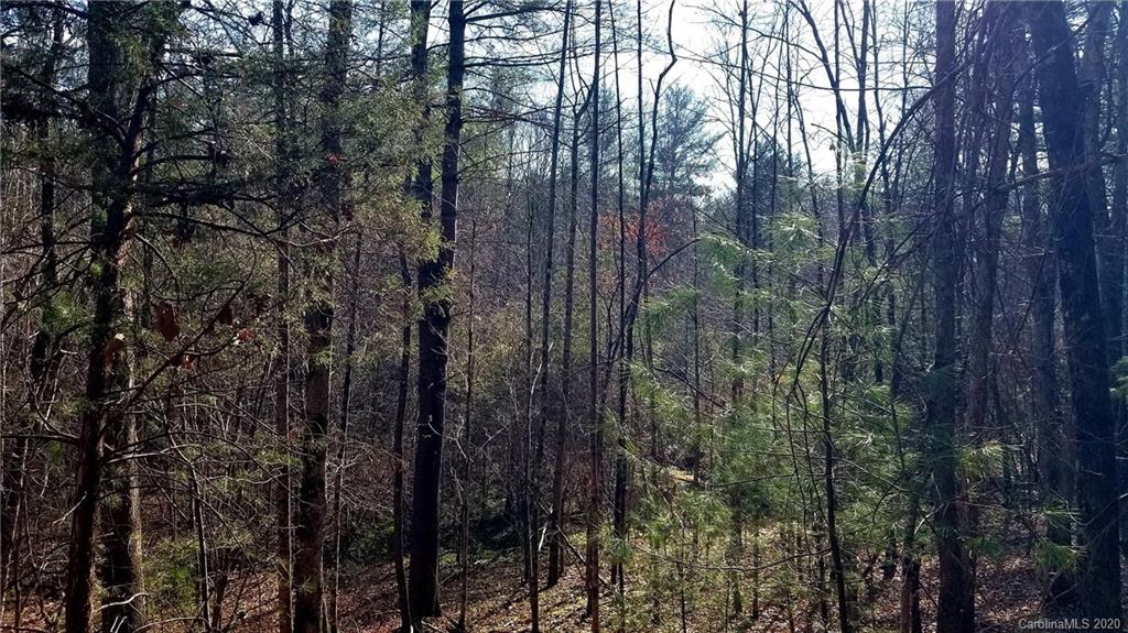 4297 Piney Road, Unit 3 Morganton, NC 28655 - Photo 5 of 11 Gallery Image 5