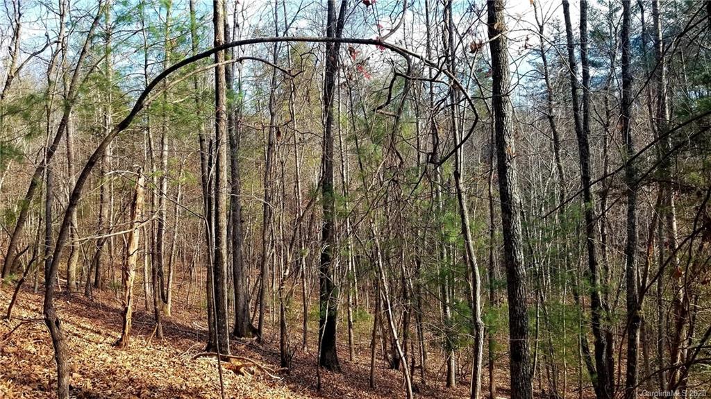 4297 Piney Road, Unit 3 Morganton, NC 28655 - Photo 6 of 11 Gallery Image 6