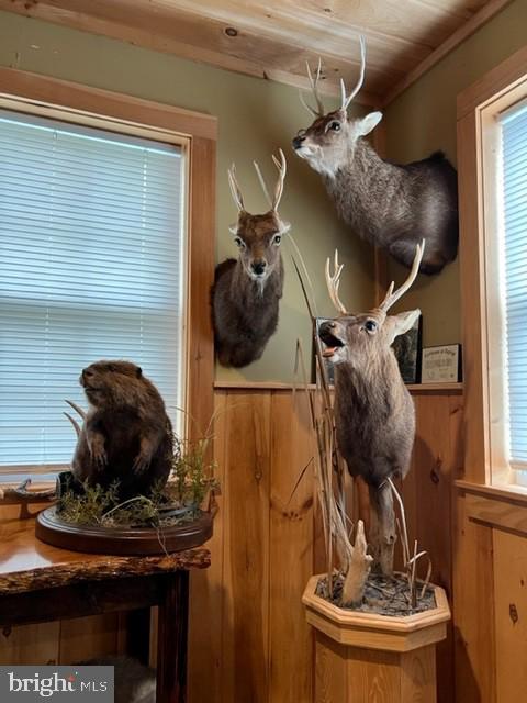 3452 Elliott Island Road Vienna, MD 21869 - Photo 13 of 52 Gallery Image 13