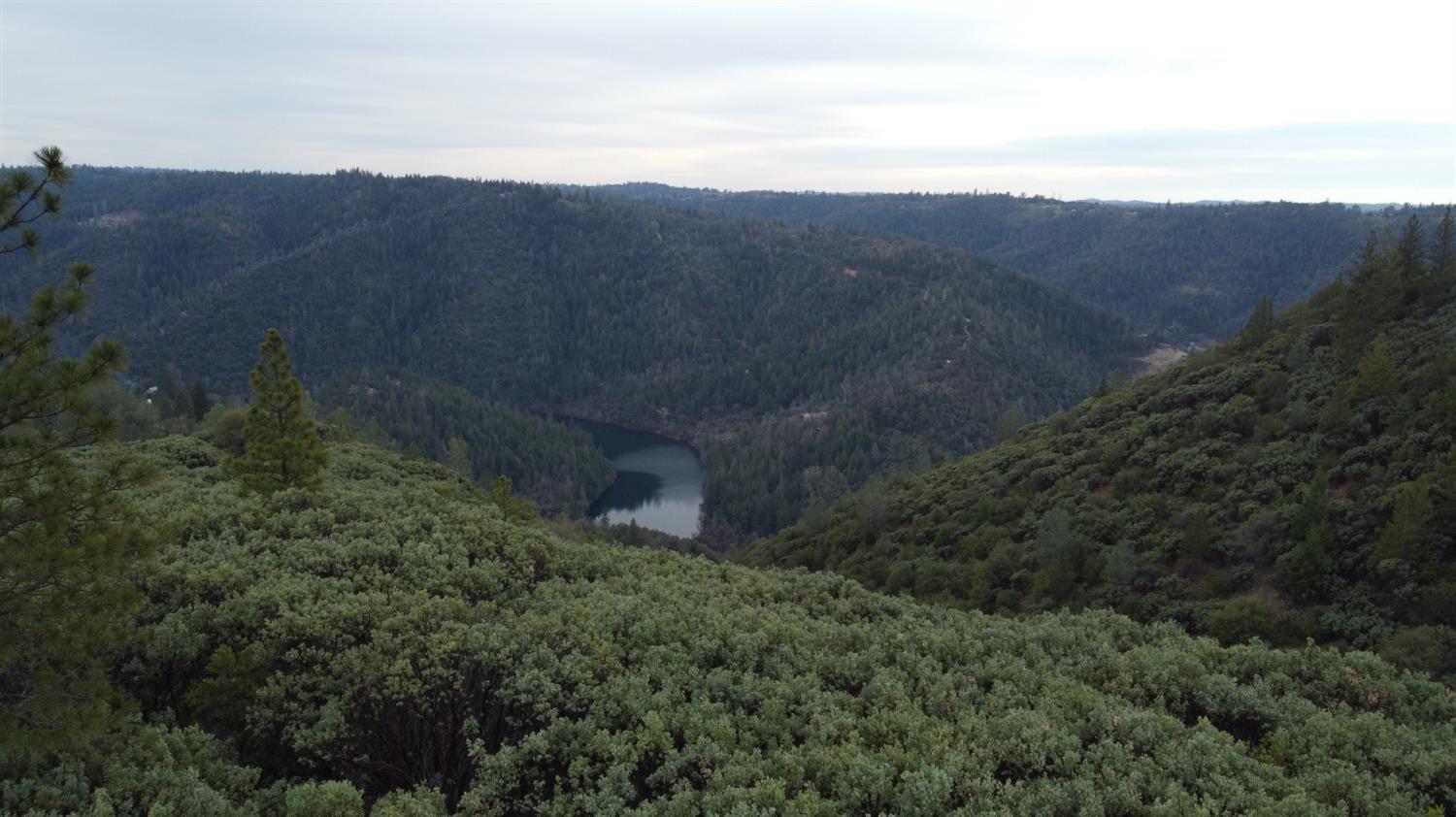 9220 Mule Skinner Road Placerville, CA 95667 - Photo 1 of 15 a view of a dry yard with green space