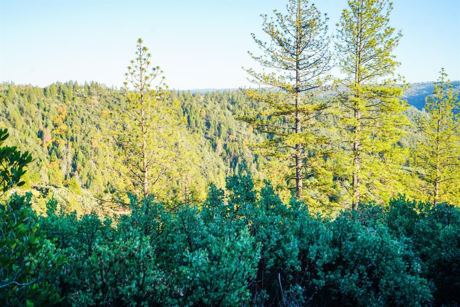 9220 Mule Skinner Road Placerville, CA 95667 - Photo 11 of 15