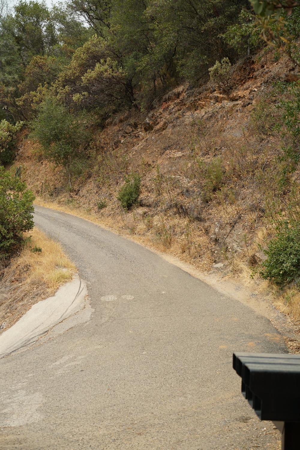 9220 Mule Skinner Road Placerville, CA 95667 - Photo 13 of 15 a view of a dry yard with wooden floor