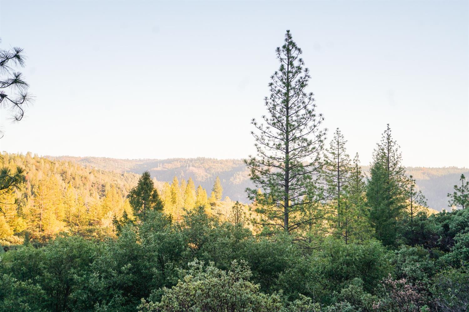 9220 Mule Skinner Road Placerville, CA 95667 - Photo 7 of 15 a view of a city with lots of trees