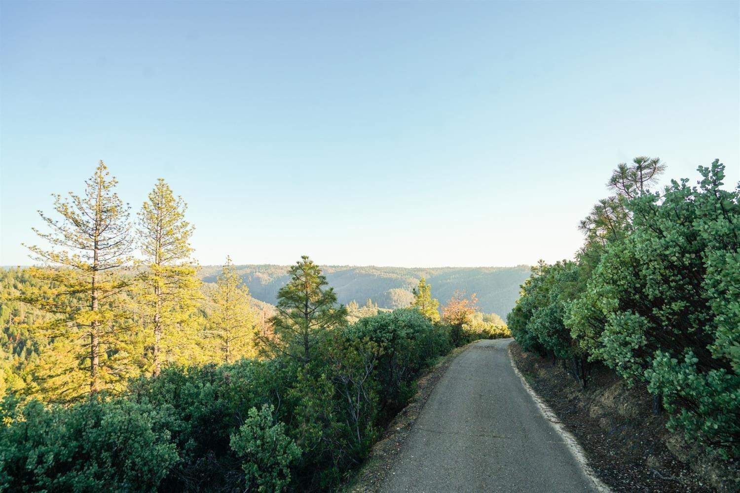 9220 Mule Skinner Road Placerville, CA 95667 - Photo 8 of 15 a view of a pathway both side of green field with trees in background