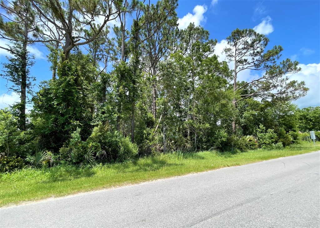 3 West Rutherford Street Port St. Joe, FL 32456 - Photo 4 of 8