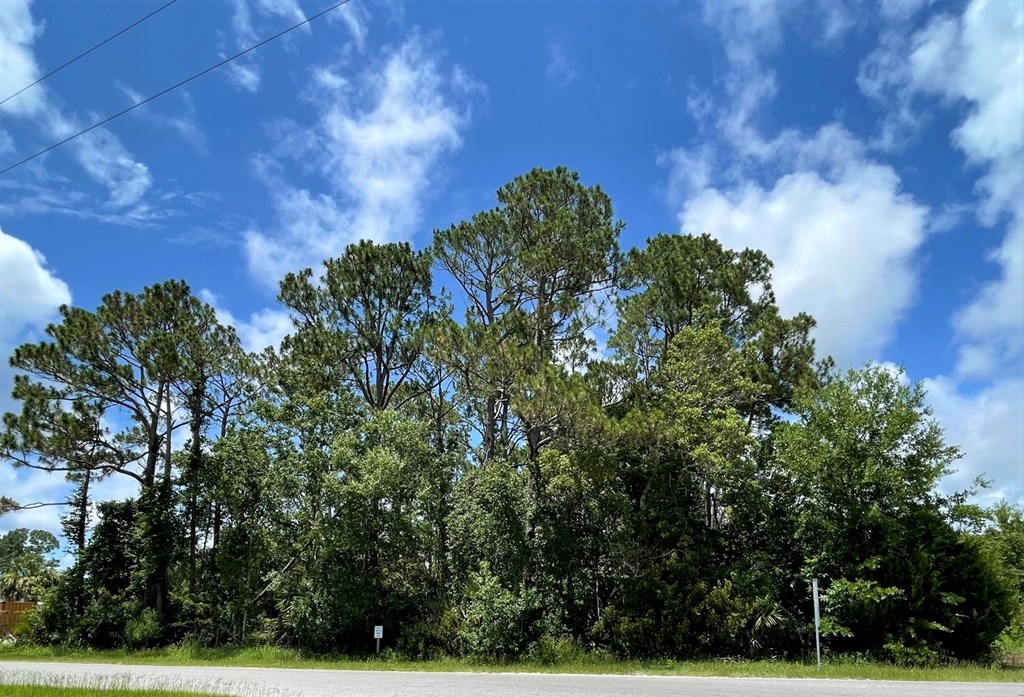 3 West Rutherford Street Port St. Joe, FL 32456 - Photo 6 of 8