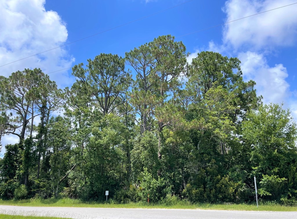 3 West Rutherford Street Port St. Joe, FL 32456 - Photo 8 of 8