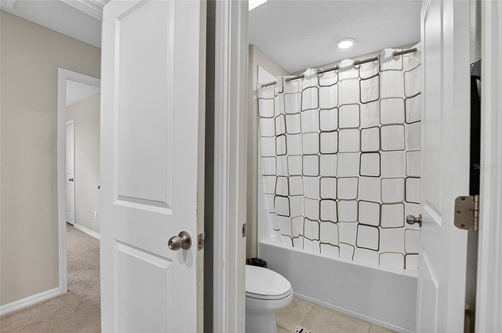 31783 Sun Kettle Loop Wesley Chapel, FL 33545 - Photo 40 of 73